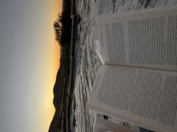 Svenjas Bilder &raquo; Campus